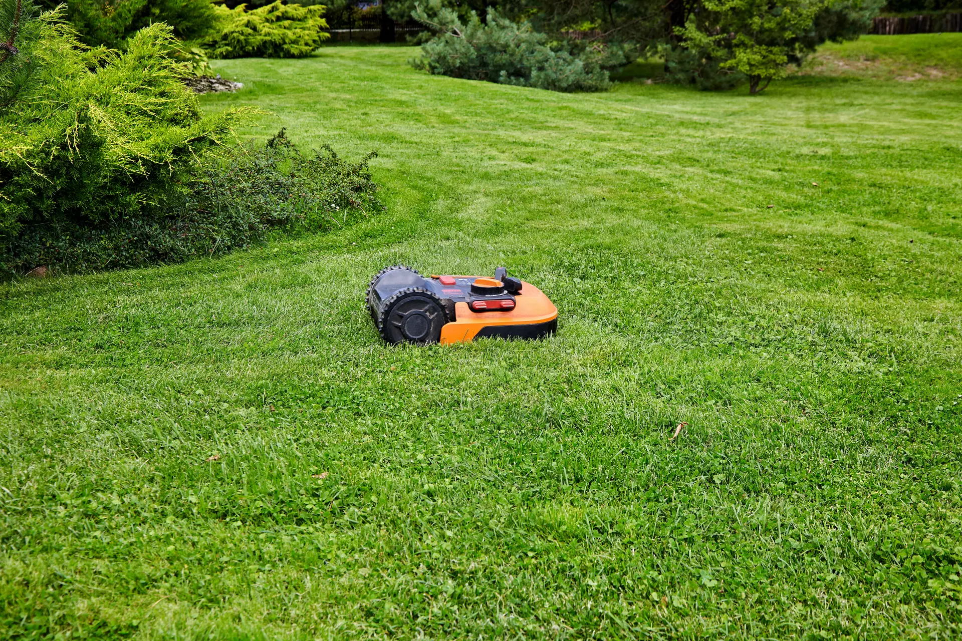 Common Mistakes When Laying Artificial Grass Image