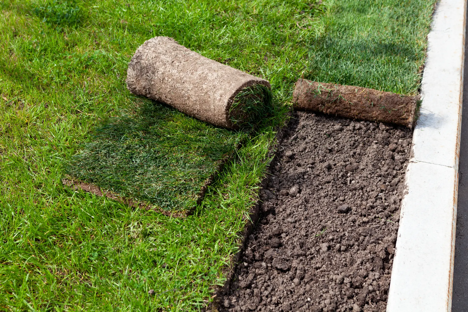 Common Mistakes When Laying Artificial Grass